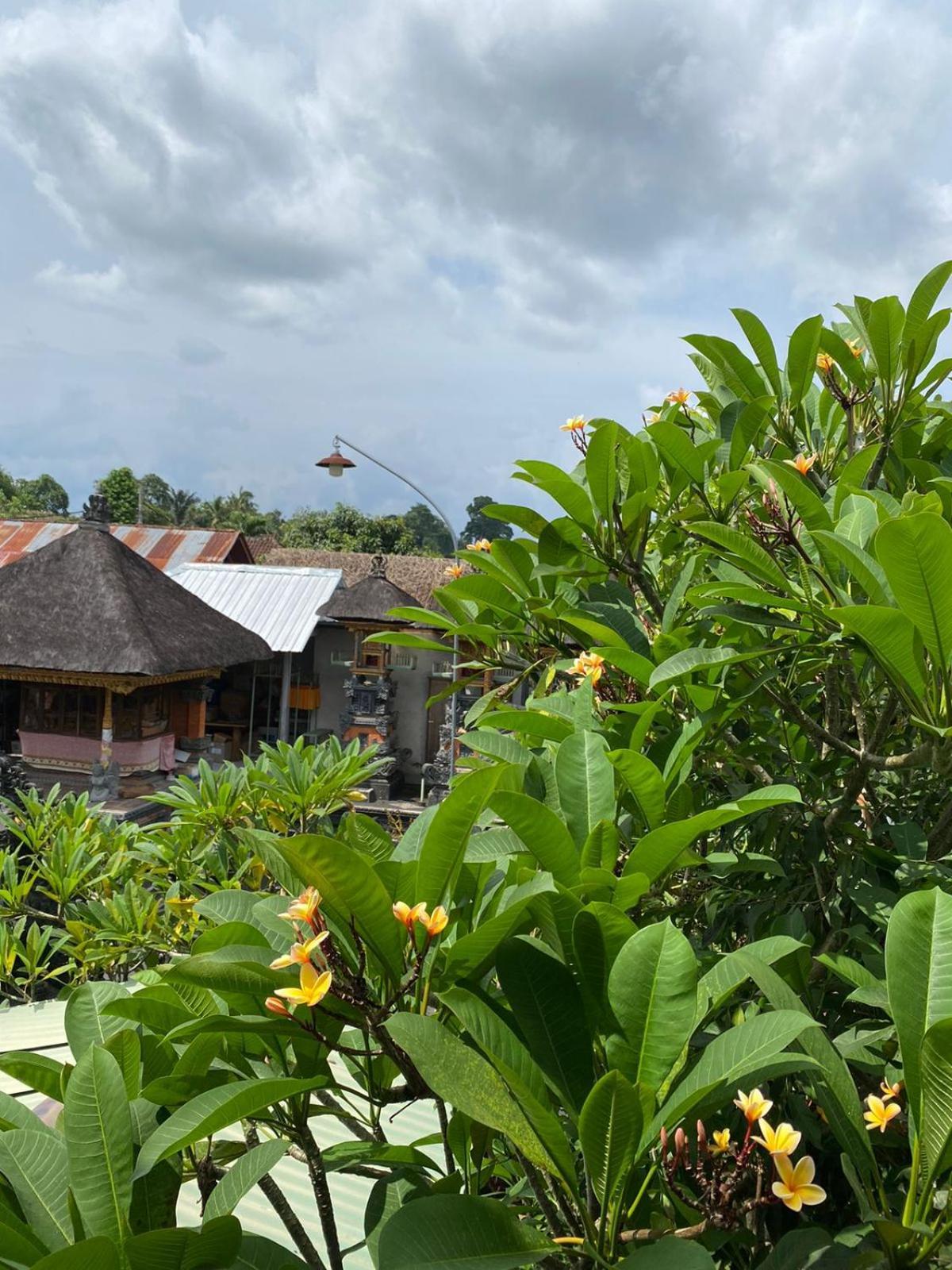Cuan House Ubud Екстериор снимка